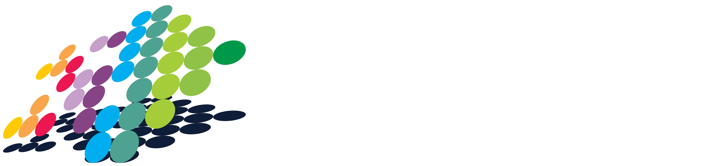 BPM Research
